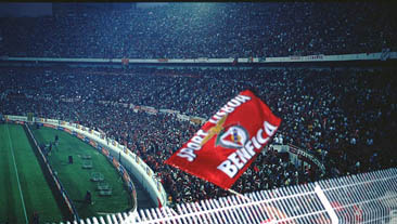 joao328.jpg (28462 octets)