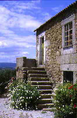joao92.jpg (13567 octets)