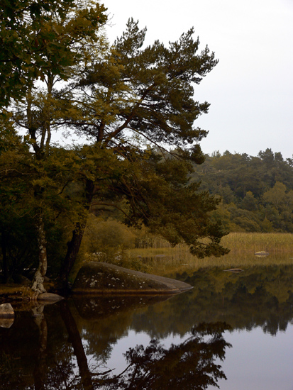 Lac du Merle