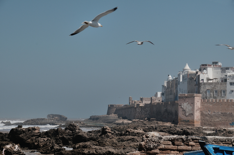 Les murailles d'Essaouira