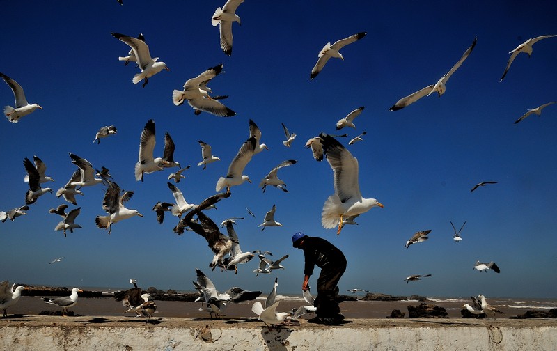 Essaouira