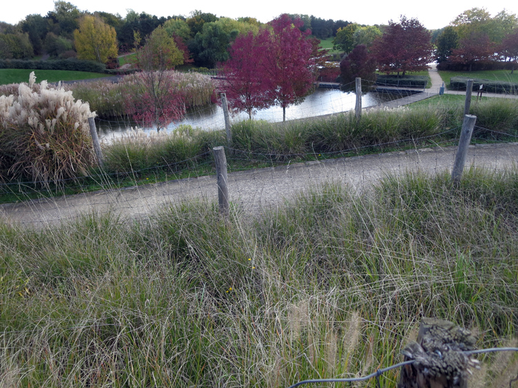2017 10 27 6448 Parc de la Courneuve.jpg
