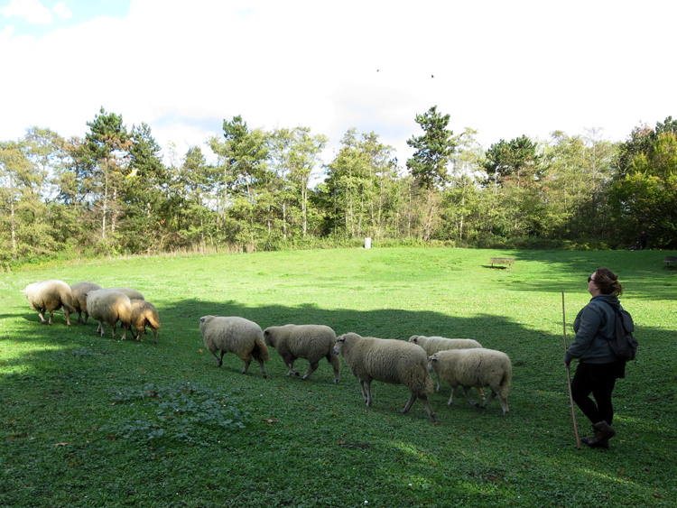 2017 10 27 6465 Parc de la Courneuve.jpg