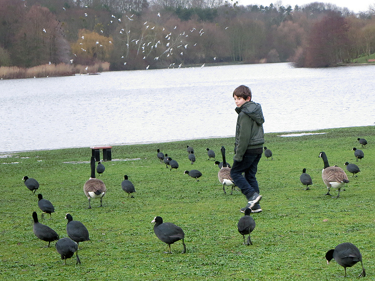 2018 01 05 6936 Parc de la Courneuve