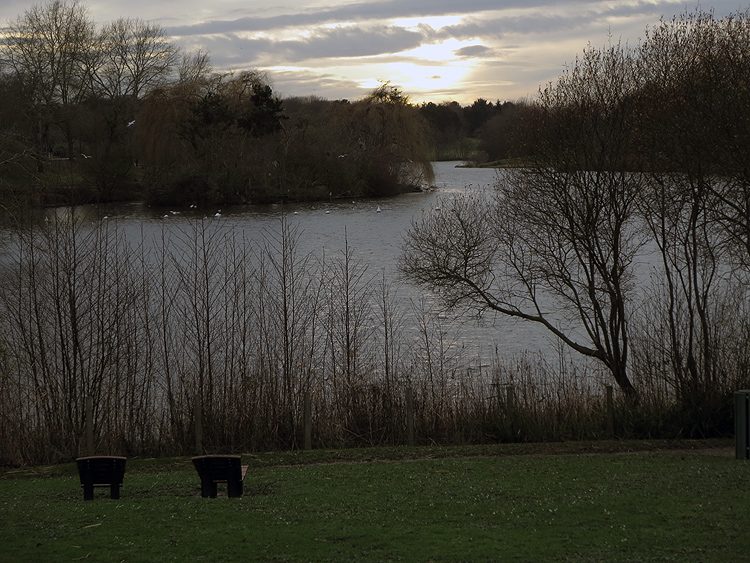 2018 01 05 6942 Parc de la Courneuve