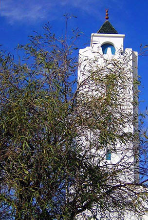 Mosque de Sidi Bou Said (TUNISIE)