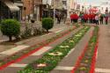 fete des fleurs