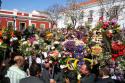 fete des fleurs