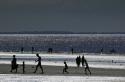 0078 bord de plage 0078_MG_8727DPP