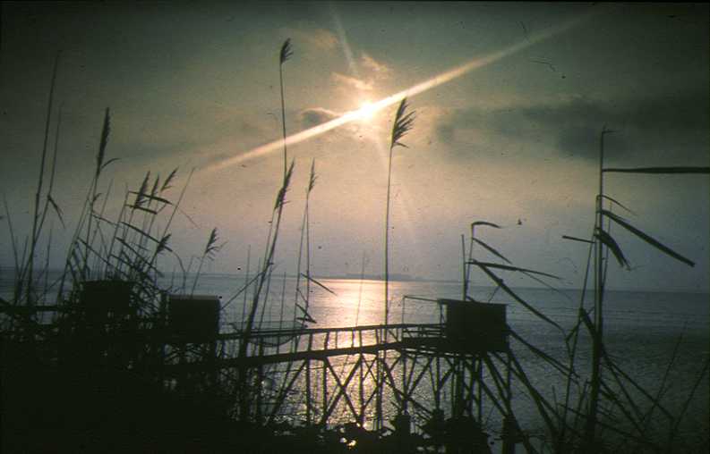 asptt33.jpg (30153 bytes)