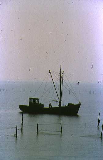 aspttm05.jpg (12089 bytes)