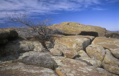 bruno41.jpg (74386 octets)