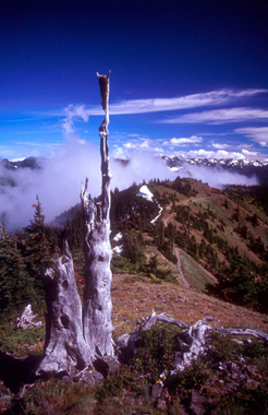 bruno47.jpg (73594 octets)