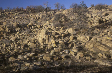 bruno49.jpg (90644 octets)