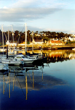 bruno63.jpg (36809 octets)