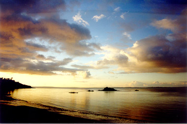 bruno65.jpg (32662 octets)