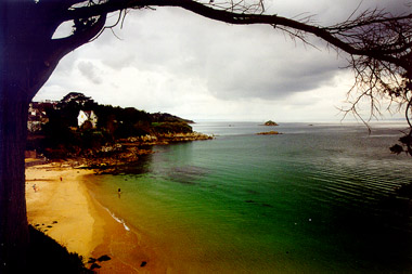 bruno69.jpg (39524 octets)