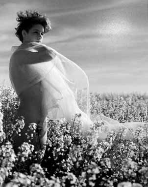 cbi30a09.JPG (18583 octets)