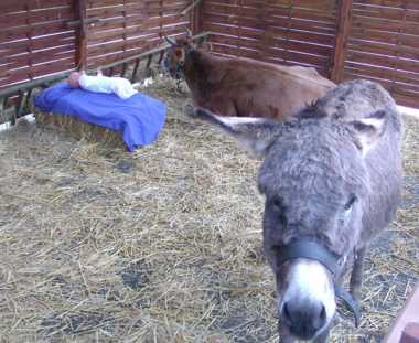 billes124.jpg (21170 octets)