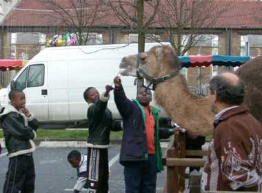 billes125.jpg (15951 octets)