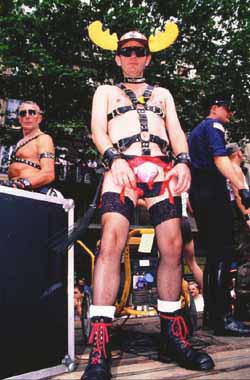 billes55.JPG (25640 octets)