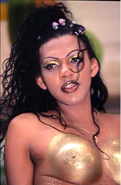 billes96.JPG (19644 octets)