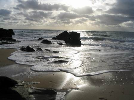 manu08.jpg (17854 bytes)