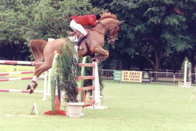 georges55.jpg (21362 octets)