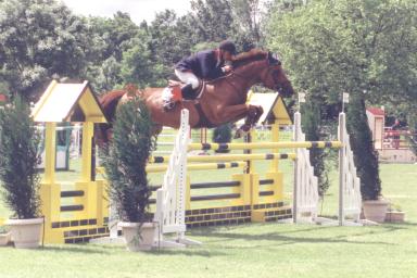 georges58.jpg (24045 octets)