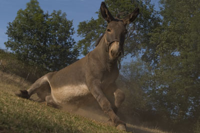 sophie42.jpg (47575 octets)