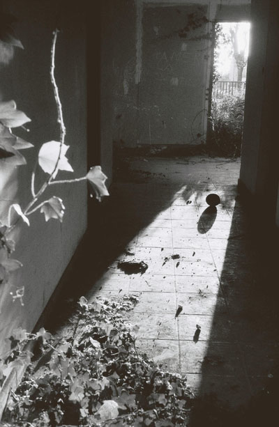 sophie56.jpg (38092 octets)