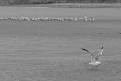 sophie59.jpg (28626 octets)