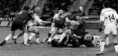 sophie49.jpg (37948 octets)