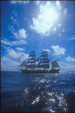 xavier 01.jpg (75091 octets)