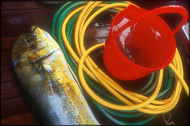 xavier 03.jpg (91326 octets)