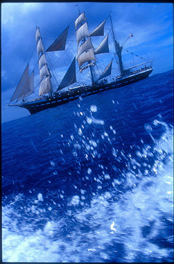 xavier 04.jpg (95559 octets)