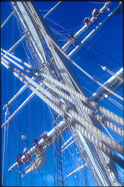 xavier 07.jpg (117724 octets)