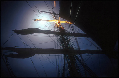 xavier 10.jpg (46912 octets)