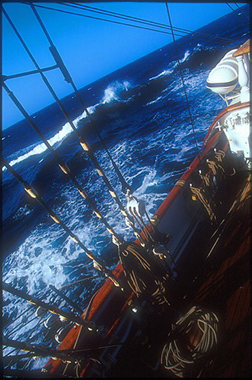 xavier 11.jpg (97794 octets)