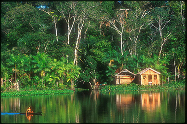 xavier 12.jpg (117163 octets)