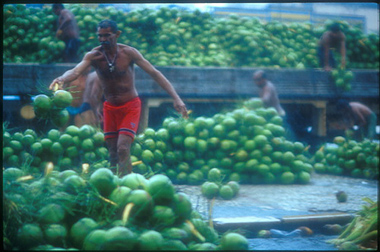 xavier 14.jpg (81581 octets)