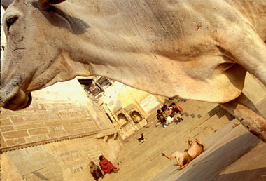 xavier 33.jpg (38541 octets)