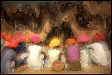 xavier 44.jpg (33697 octets)