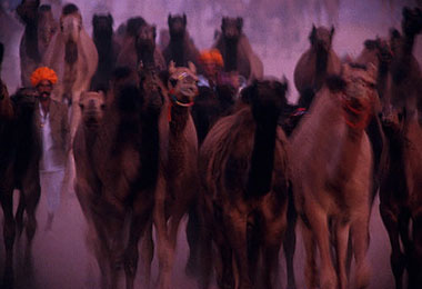 xavier 45.jpg (25540 octets)