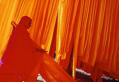 xavier 49.jpg (36213 octets)