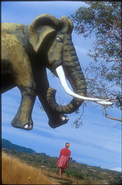 xavier 63.jpg (37238 octets)