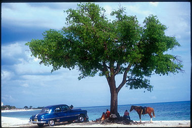 xavier 71.jpg (42179 octets)