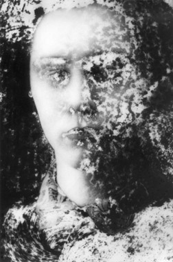 xavier100.jpg (37883 octets)