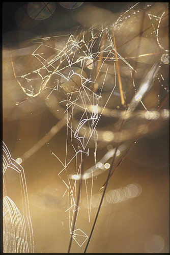 xavier143.jpg (79642 octets)