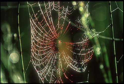 xavier147.jpg (112245 octets)